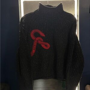 Taylor Swift cropped Reputation sweater